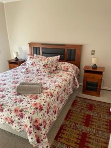 Departamento Aníbal Pinto Concepción