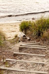 The Beach House at Great Bay
