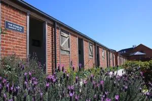 Dusty Hill Vineyard - Moffatdale - Nanango