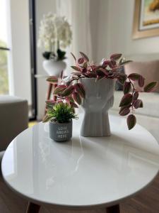 Apartamento en Miraflores, Lima