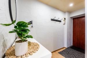 Cozy Coner Apartments