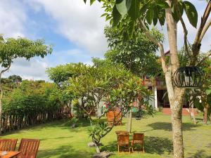 Homestay Blackpink 1986