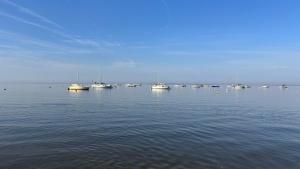 Studio face au Bassin dArcachon