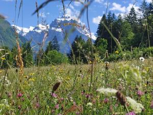 Appartements Le Refuge des Trolls : photos des chambres