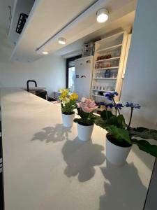 Appartements קסם משפחתי : photos des chambres