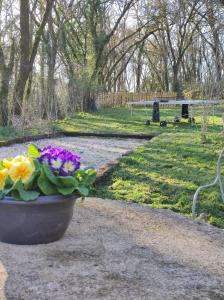 La Ferme aux Hibiscus