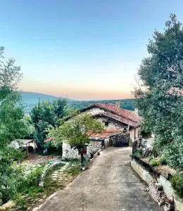 Las Peonías Casa Rural - Monasterio