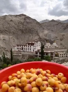 Green Land Guest House Ladakh by LexStays - Sumdah