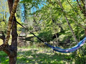 Appartements gite sivade - vue epique - grand jardin cloture : photos des chambres