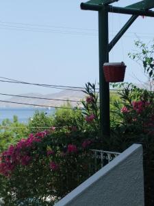 Family Two-Bedroom Apartment with Side Sea and Garden View