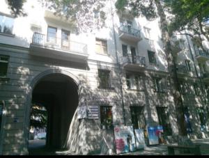 Agmashenebeli Lilus Apartment 2