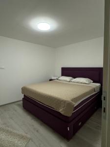 Apartment Airport DD