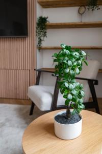 Residence Jaures - Appartements design et climatises en centre ville : photos des chambres