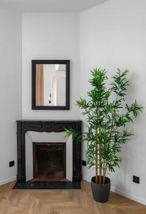 Residence Jaures - Appartements design et climatises en centre ville : photos des chambres