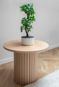Residence Jaures - Appartements design et climatises en centre ville : photos des chambres