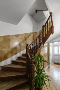 Residence Jaures - Appartements design et climatises en centre ville : photos des chambres