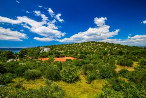 Apartments Diljak 1207