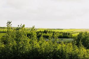 Northern lights Luxury with hot tub! 10 min to city