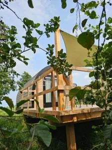 Tiny House De Skierroek - Ee