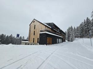 DeLuxe apartmán s možností wellness Benecko 4 by AlkaTravel