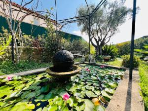 Appartements Studio Soleil - Piscine, Parking, Jardin, Calme, Wifi, 2 personnes : photos des chambres