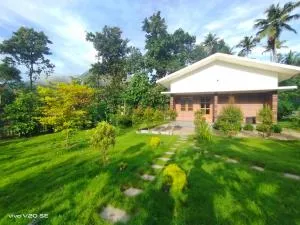 Merlys Fruit Garden - Thattakād