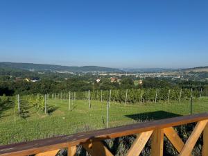 Willa Winnica Maria Anna