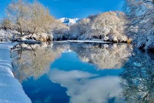 Peace Cottages Pangong Ladakh by LexStays