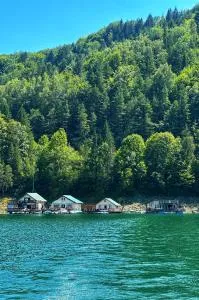 Lake Cabin Bicaz - 比卡兹