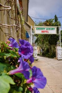 Cherry Luxury Hotel
