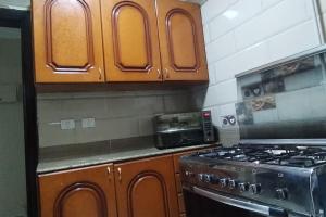 Relief, New Cairo, near capital