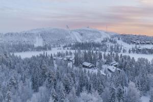 Bear Cub - Ruka Slopes, ski, hiking