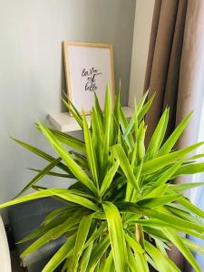 Appartement 2 chambres