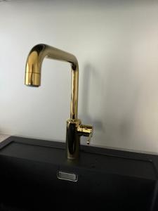 Arctic apartment Takapudas