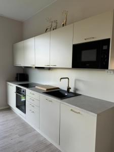 Arctic apartment Takapudas