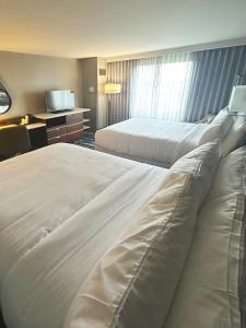 Deluxe Family Room room in Memphis Vitality Hotel