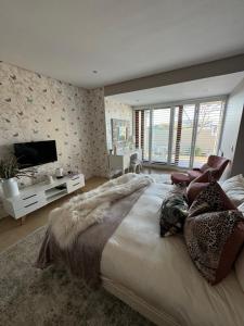 Luxury Vineyard Suites