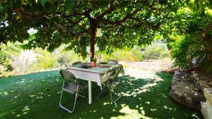 Maisons de vacances Maison en pierre, 3 chambres a 15 mn du centre de Menton et des plages : photos des chambres