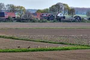 Luxe vakantiehuis in dijkboerderij