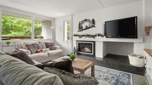 Bridges Circle condo - Roxbury