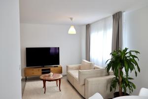 Appartements Appartement chaleureux en centre-ville : photos des chambres