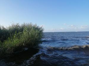 Pokoje Przy Alei Trzebież