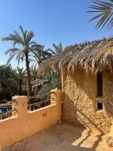 Shamofs art garden - 锡瓦