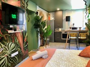 Studio Jungle Climatisé