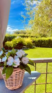 Maisons de vacances Les Sources d'Hon - Gite & Espace wellness : photos des chambres