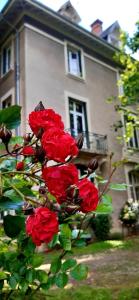 Studio Hyper-Centre Villa Isabelle