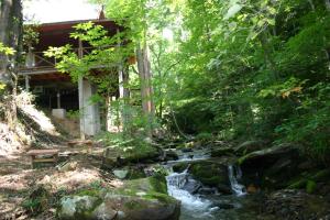 Newly Renovated Log Cabin, Hot Tub, Roaring Creek