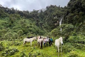 Casa de Campo Papallacta en Reserva Natural Privada