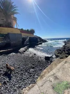 Coqueto piso a 2 min de la playa - El Escobonal