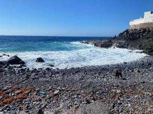 Coqueto piso a 2 min de la playa